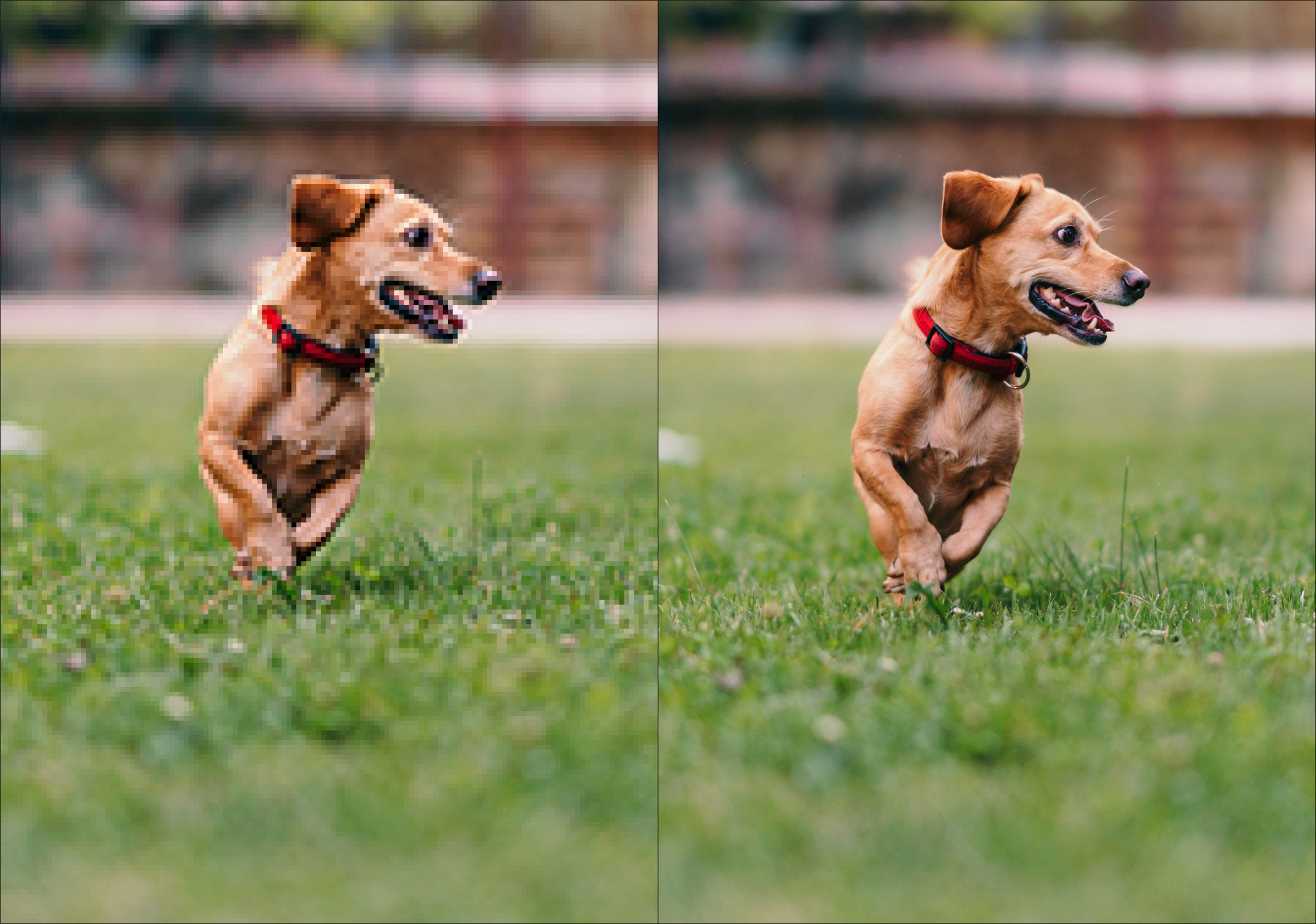 The Importance of High Resolution Images for  Print